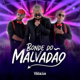 Album cover of Bonde do Malvadão
