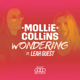 Album cover of Wondering