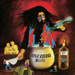Album cover of Wizzard's Brew