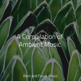 Album cover of A Compilation of Ambient Music