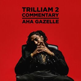 Album cover of Trilliam 2 (Commentary)