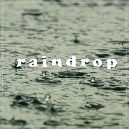 Album cover of Raindrop
