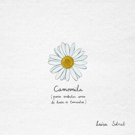 Album cover of Camomila