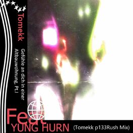 Album cover of Gefühle an dich in einer Altbauwohnung, Pt. I (Tomekk p133Rush Mix) (feat. Yung Hurn)