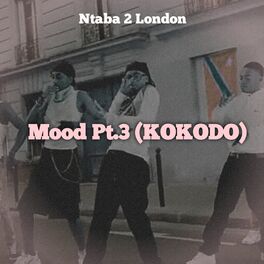 Album cover of Mood Pt.3 (KOKODO)