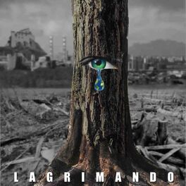 Album cover of Lagrimando