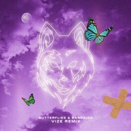 Album cover of Butterflies & Bandaids (VIZE Remix)