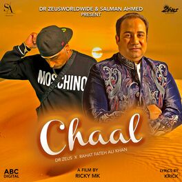 Album cover of Chaal
