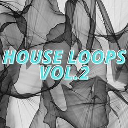 Album cover of House Loops Vol.2