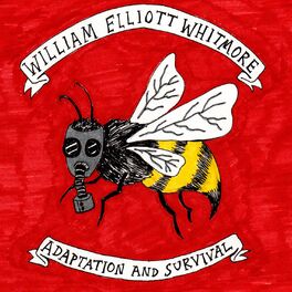 Album cover of Adaptation and Survival