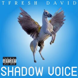 Album cover of SHADOW VOICE