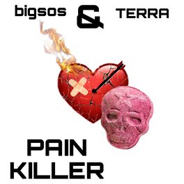 Album cover of PAIN KILLER (feat. TERRA)