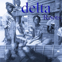Album cover of Delta Roots