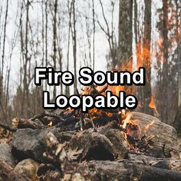 Album cover of Fire Sound Loopable