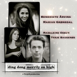 Album cover of Ding Dong Merrily on High