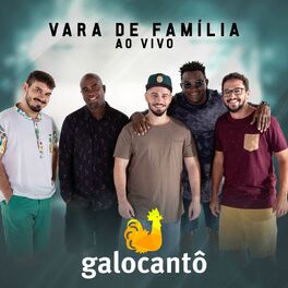 Album cover of Vara de Família (Ao Vivo)