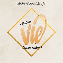 Album cover of C'est la vie (qu'on oublie)