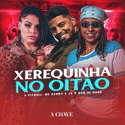 Baixar A Musica Xerequinha No Oitao Brega Funk A Pitbull Mc Danny Js O Mao De Ouro A Chave No Celular Gratis