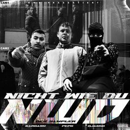 Album cover of NICHT WIE DU