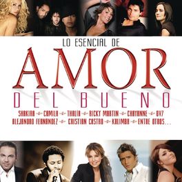 Album cover of Lo Esencial de Amor del Bueno 2011