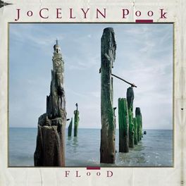 Album cover of Flood