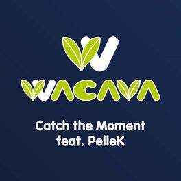 Album cover of Catch the Moment