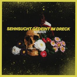 Album cover of Sehnsucht gedeiht im Dreck