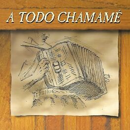Album cover of A Todo Chamamé
