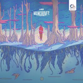 Album cover of Mangroves