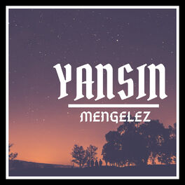 Album cover of Yansın