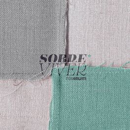 Album cover of Sobre Viver