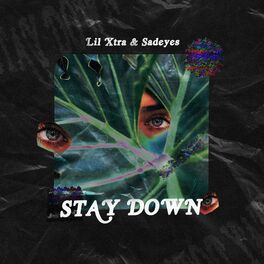 Album cover of Stay Down
