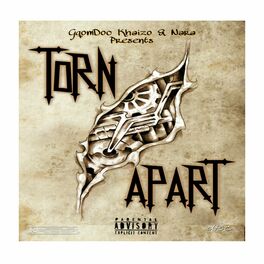 Album cover of Torn Apart (feat. Nara & Khaizo) [Bonus Track]