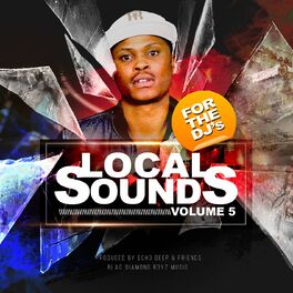 Album cover of Local Sounds Vol.5 (For The DJs)