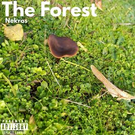 Album cover of The Forest