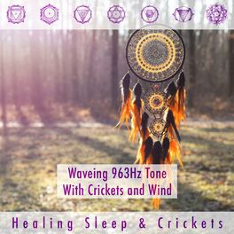 Album cover of Waveing 963hz Tone with Crickets and Wind