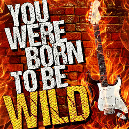 Album cover of You Were Born to Be Wild!