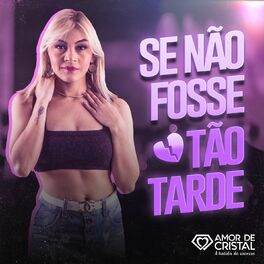 Album cover of Se Não Fosse Tão Tarde
