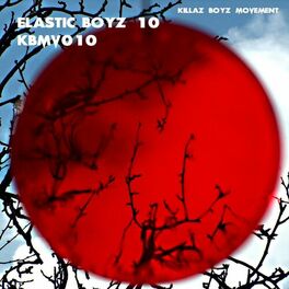 Album cover of ELASTIC BOYZ 10