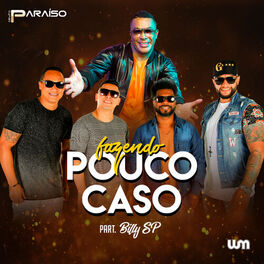 Album cover of Fazendo Pouco Caso