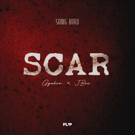 Album cover of SCAR