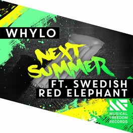 Album cover of Next Summer (feat. Swedish Red Elephant)