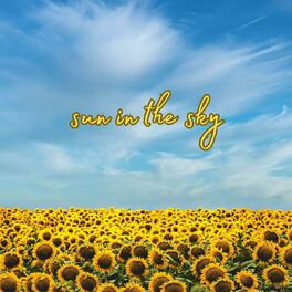 Album cover of sun in the sky