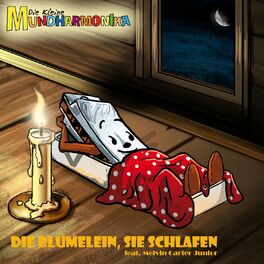 Album cover of Die Blümelein, sie schlafen