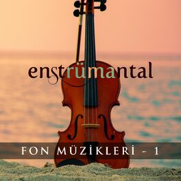 Album cover of Enstrümantal Fon Müzikleri - 1