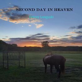 Album cover of Second Day In Heaven