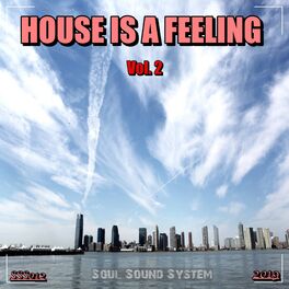 Album cover of House is a Feeling, Vol. 2