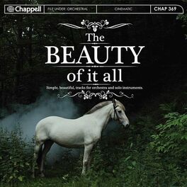 Album cover of The Beauty Of It All