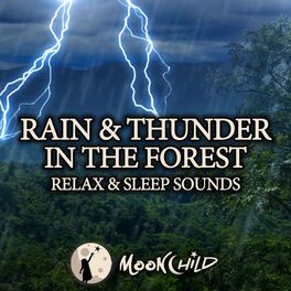 Album cover of Rain and Thunder in the Forest