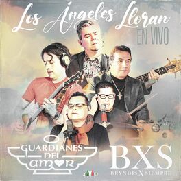 Album cover of Los Ángeles Lloran (En Vivo)